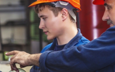 Study highlights the need for clearer OHS terminology in workplace safety